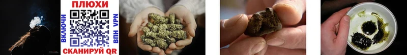 Купить закладки  Суджа  ГАШИШ AMNESIA HAZE 