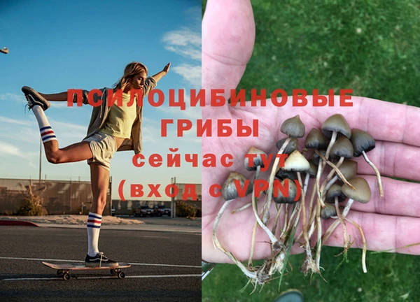 эйфоретик Михайлов