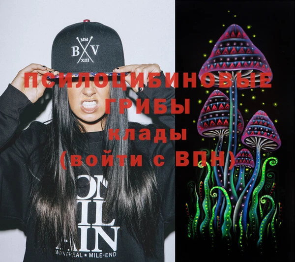 spice Михайловск