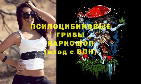 бутират Михайловка