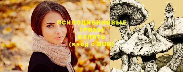 MDMA Медногорск