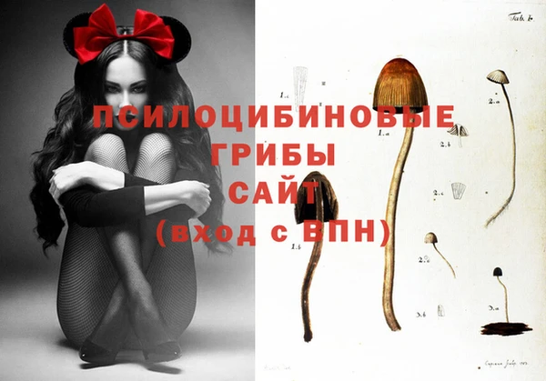 эйфоретик Михайлов