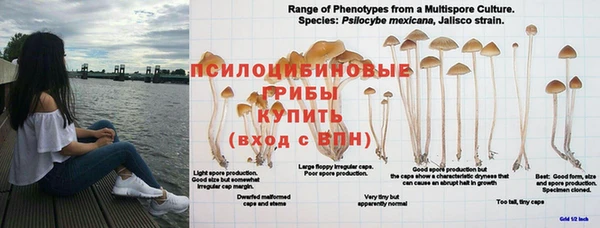мдпв Мегион