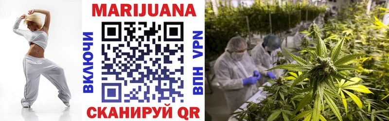 Купить закладки  Суджа  МАРИХУАНА индика 